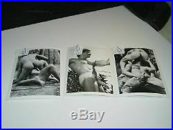 14 Vintage B/W Colt Target Studio Gay Interest Nude Male Photo Photos Art Study