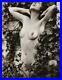 1920s-Original-EDWIN-BOWER-HESSER-Female-Nude-Woman-Vintage-Silver-Gelatin-Photo-01-rnhw