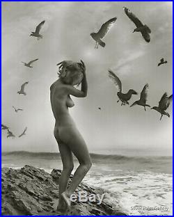 1950 Original Andre De Dienes Female Nude Body Surreal Silver Gelatin Photograph
