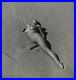 1950-Original-Andre-De-Dienes-Female-Nude-Body-Vintage-Silver-Gelatin-Photograph-01-hz
