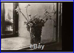 1950's/80 Original Josef Sudek Silver Gelatin Photograph Flower Still Life Czech