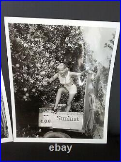 1955 Sunkist 8 x 10 Black & White Photos Blonde Girl in Orange Fruit Orchard