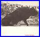 1963-Lucien-Clergue-Signed-Inscribed-Magnan-Photos-Zurich-French-Barbezat-01-pd