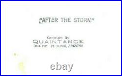After the Storm by George Quaintance original Photo Vintage Male Beefcake, Rare