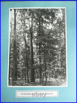 Album, 33 photos (9 x 6.7 in) Trostyanets Forest-Steppe, Ukraine (USSR)
