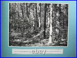 Album, 33 photos (9 x 6.7 in) Trostyanets Forest-Steppe, Ukraine (USSR)