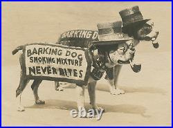 Antique Boardwalk Tobacco Leaf Advertising American Pitbull Pipe Hat Old Photo