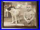 Antique-PET-DOG-With-BOY-1928-Original-Photograph-Photo-Picture-01-vuie