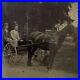 Antique-Tintype-Photograph-Handsome-Man-Men-Horse-Buggy-Carriage-Gay-Int-01-ka