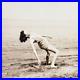 Back-Bend-Beach-Babe-Photo-1940s-Annapolis-Maryland-Barefoot-Woman-Girl-MD-A1616-01-ekgl