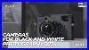 Best-Cameras-For-Black-And-White-Photography-2024-Watch-This-Before-Buying-One-01-jgez