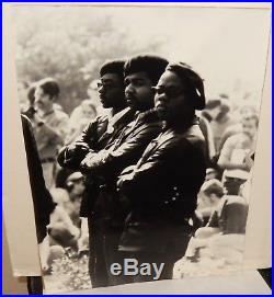 Black Panther Vintage Original Black And White Photograph 1965