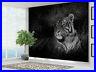 Black-and-White-Tiger-sat-in-grass-Nature-wallpaper-photo-wall-mural-14751945-01-qjeo