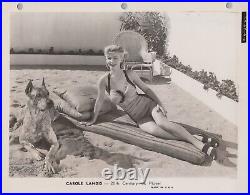 Carole Landis (1950s)? Leggy Cheesecake Swimsuit Hollywood Beauty Photo K 152