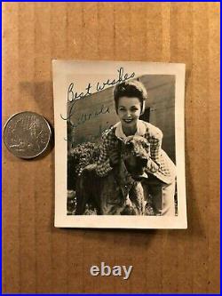 Carole Landis Rare Early Vintage Original Autographed Photo 40s One Million B. C