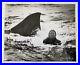 Cindy-Grover-SIGNED-PHOTO-8x10-JAWS-AUTOGRAPH-INSCRIBED-BLACK-AND-WHITE-01-fdf