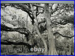 Clyde Butcher photo Fisheating Creek #6 34 x 54 matted framed to 40 x 60