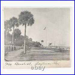 Daytona Beach Street Florida Photo c1899 Road US Flag Palm Tree Card Art B1651