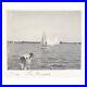 Dog-Watching-Boat-Race-Photo-c1899-Daytona-Beach-Halifax-River-Yacht-Club-B1661-01-ac