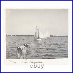 Dog Watching Boat Race Photo c1899 Daytona Beach Halifax River Yacht Club B1661
