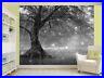 Fairy-Tree-In-Mystic-Forest-black-and-white-photo-Wallpaper-wall-mural-51190425-01-yuwt
