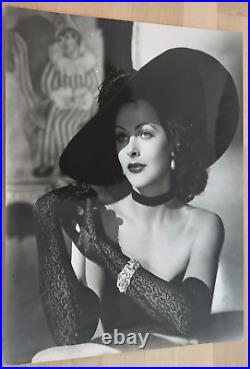 HOLLYWOOD BEAUTY HEDY LAMARR STYLISH POSE STUNNING PORTRAIT OVERSIZE Photo XXL