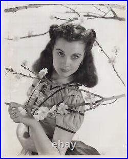 HOLLYWOOD BEAUTY VIVIEN LEIGH GONE WITH WIND STUNNING PORTRAIT 1950s Photo 536