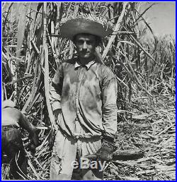 Jack DELANO Sugar Cane Worker, Puerto Rico, 1946 / PIX / Vintage / STAMPED/ FSA