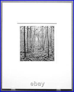 John Sexton Signed Original 1984 Forest In Mist, Xi'an, China 6.5x6.5 Photograph