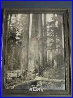 Lg Vintage DARIUS KINSEY 1920's Photograph Eagle Falls Logging Company Index Wa