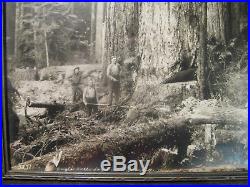 Lg Vintage DARIUS KINSEY 1920's Photograph Eagle Falls Logging Company Index Wa
