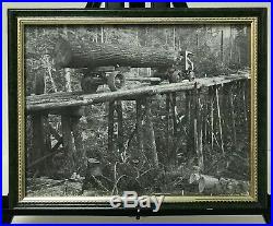 Lot Of 12 Vintage Logging Photos, All Framed, A Rare Find