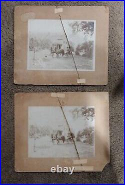 Lot Of 340 Vintage Antique B&W Photos Cabinet Card Photos & Snapshots