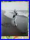 Marilyn-Monroe-Beach-Signed-George-Barris-11X14-1945-Vintage-Photo-Norma-Jean-01-acfh