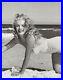 Marilyn-Monroe-Original-Vintage-Andre-De-Dienes-Photo-01-dl