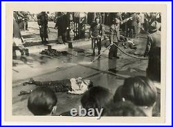 Mussolini Death Photo WWII Italy Press Photo Italian Military History Pistone