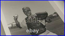 Official Phillies Baseball Individuals & Action B&W Press Photo Pack 1950s COA