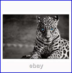 Oppidan Home Spotted Leopard in Black and White Acrylic Wall Art (32H x 48W)