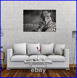 Oppidan Home Spotted Leopard in Black and White Acrylic Wall Art (32H x 48W)