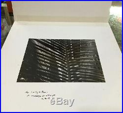 Original Vintage RALPH STEINER Photograph Signed + Note B&W PALM Closeup