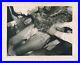 RARE-WW2-Medical-Dissection-Autopsy-Photo-Japanese-Cadaver-Macabre-Historic-1942-01-ozco