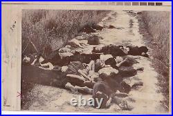 RONALD HAEBERLE MY LAI MASSACRE DEAD BODIES VIETNAM WAR VINTAGE 1968 photo