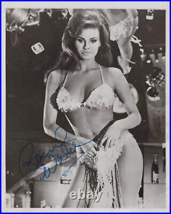 Raquel Welch Signed Autograph (COA) Alluring Sexy Swimsuit Pose K74