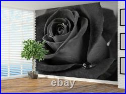 Rose with rain drops, close black and white photo Wallpaper wall mural (6678448)