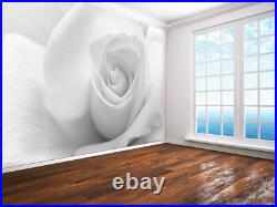 Rose with soft petals black and white photo Wallpaper wall mural (9187778)
