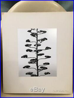Signed VINTAGE Brett Weston photograph from 1960! Two museum exhibition labels