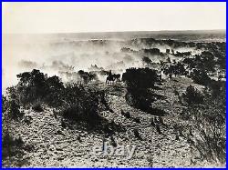 Silver Gelatin/Photograph, Longhorn Roundup Matador Ranch Library of Congress