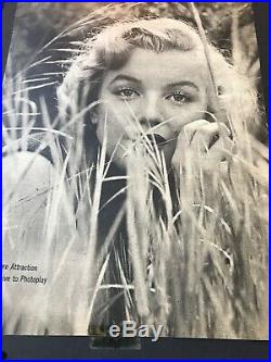 Stunning (LARGE)Scrap Book Collection Vintage Photo Marilyn Monroe NO RESERVE