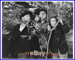 THE THREE STOOGES Vintage Original Columbia Photo MOE OWNED! Shirley Martin 4030