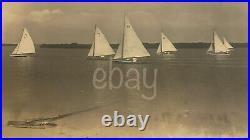 Tampa FL Yacht Club Race 8x10 B&W Albumen Photo 1920 Florida Sailboat Regatta